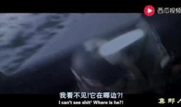 深入在线观看,揭秘网络视频世界的奥秘