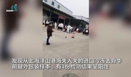 湖北荆门爆料新闻最新消息,突发事件引发关注，详情即将揭晓！